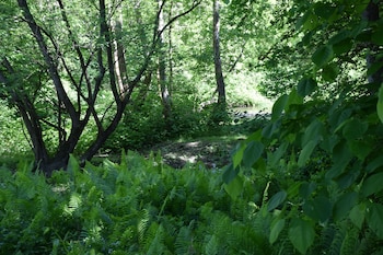 newark valley
