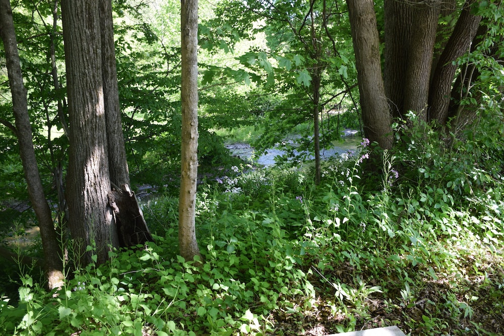 newark valley