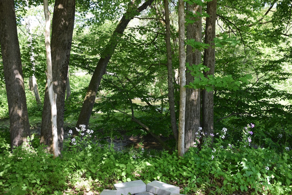 newark valley