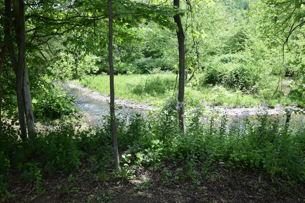 newark valley