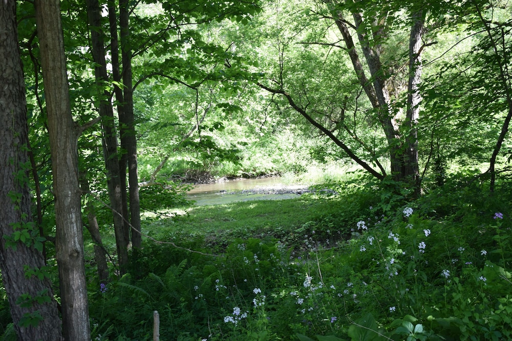 newark valley