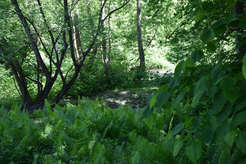 newark valley