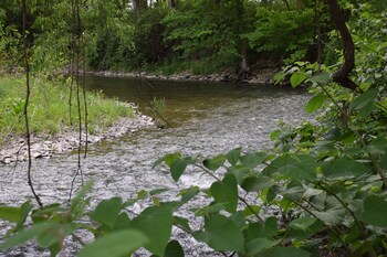newark valley
