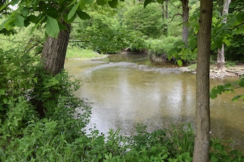 newark valley