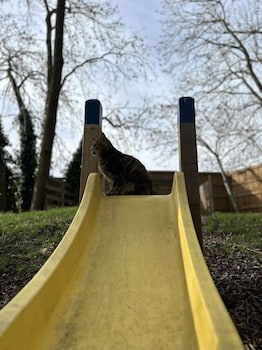 woods meadow glamping