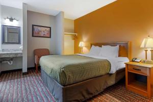 econo lodge lakeview