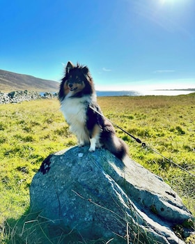 Westings Inn,,2 star