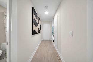 the noho signature collection