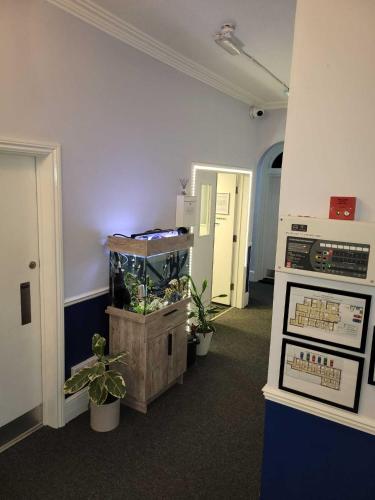 nysdill accommodation ltd