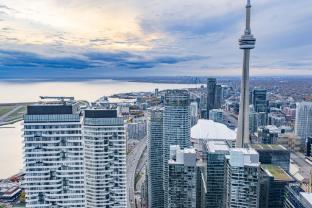 the harbour toronto