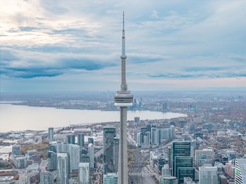 the harbour toronto