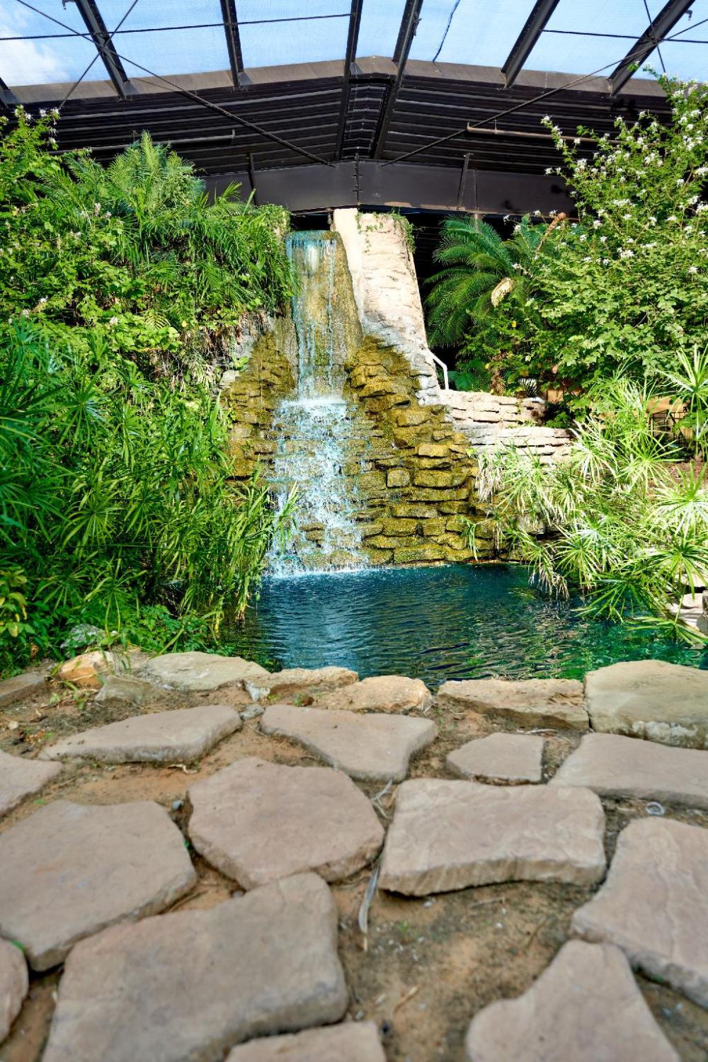 family garden inn and suites