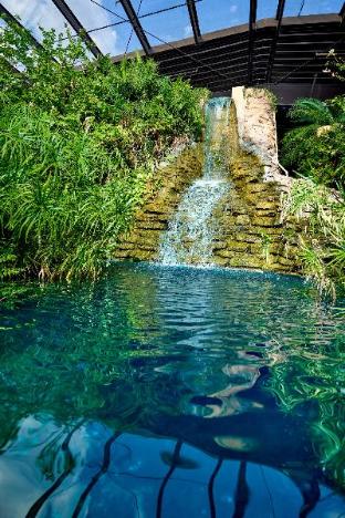 family garden inn and suites