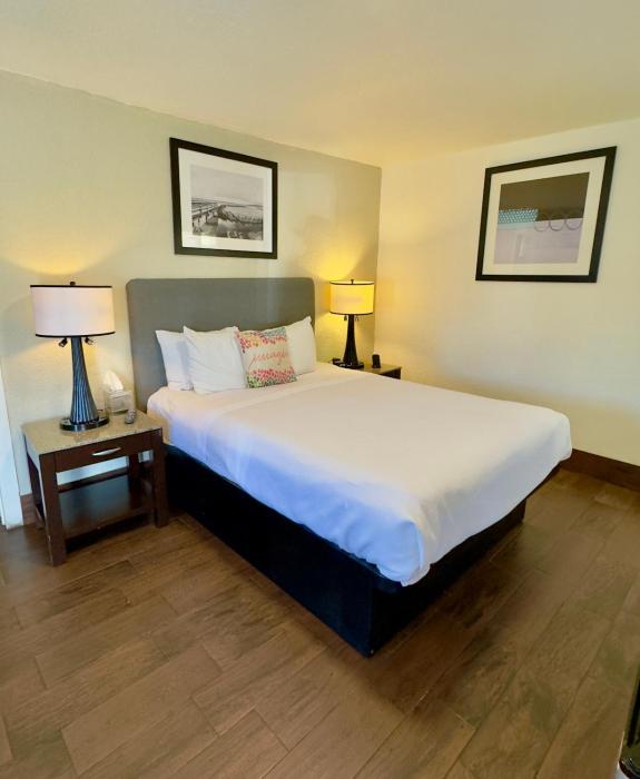 budget motel