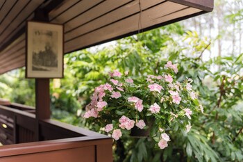 guru resort chiang mai