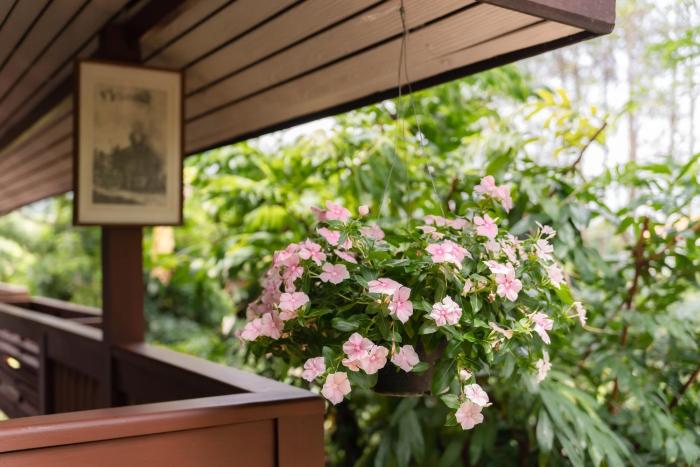 guru resort chiang mai