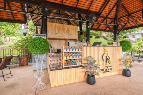 guru resort chiang mai