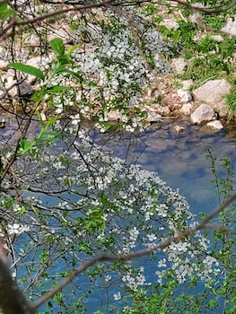 roaring river state park