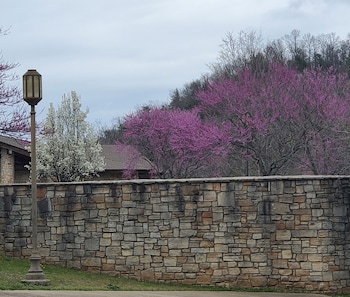 roaring river state park