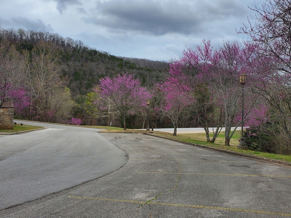 roaring river state park