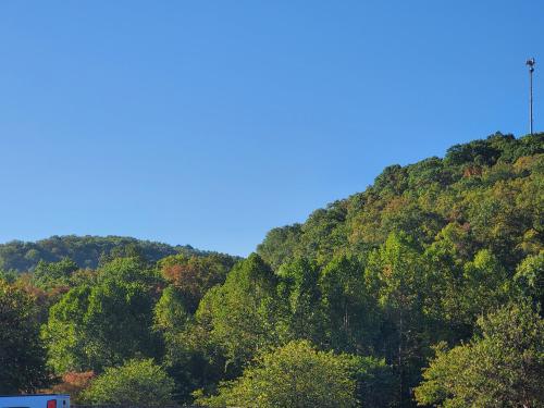 cassville