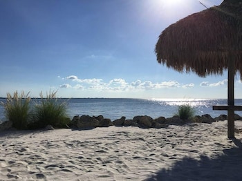 tampa
