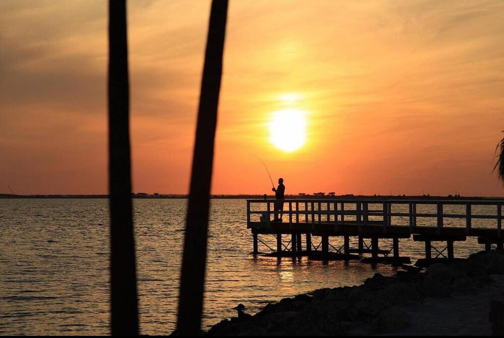 tampa