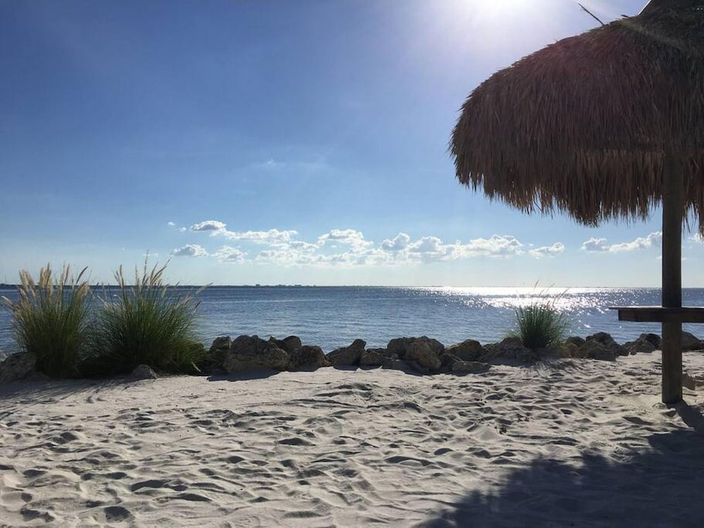 tampa