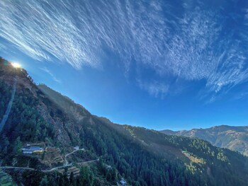 alpine crest homestay