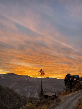 alpine crest homestay