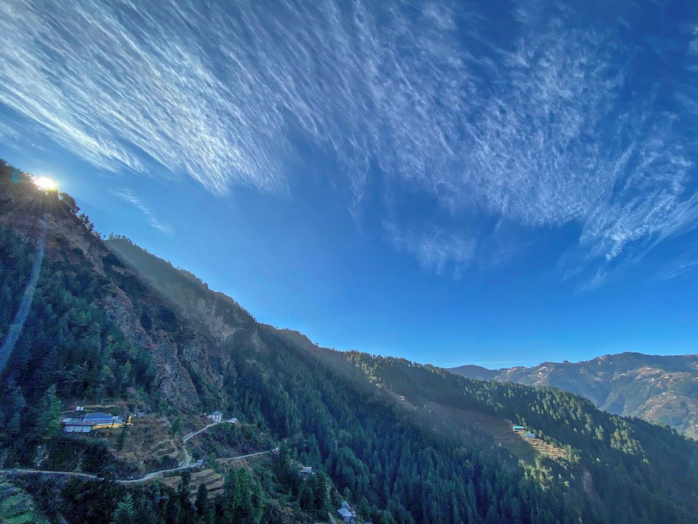 alpine crest homestay