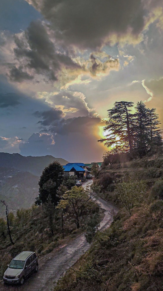 alpine crest homestay