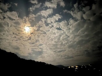 alpine crest homestay