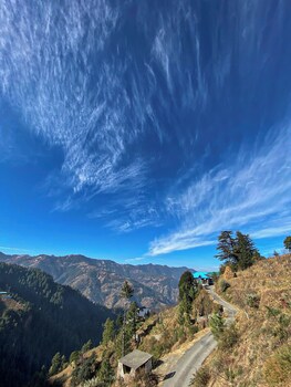 alpine crest homestay