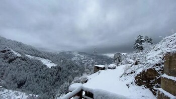 alpine crest homestay