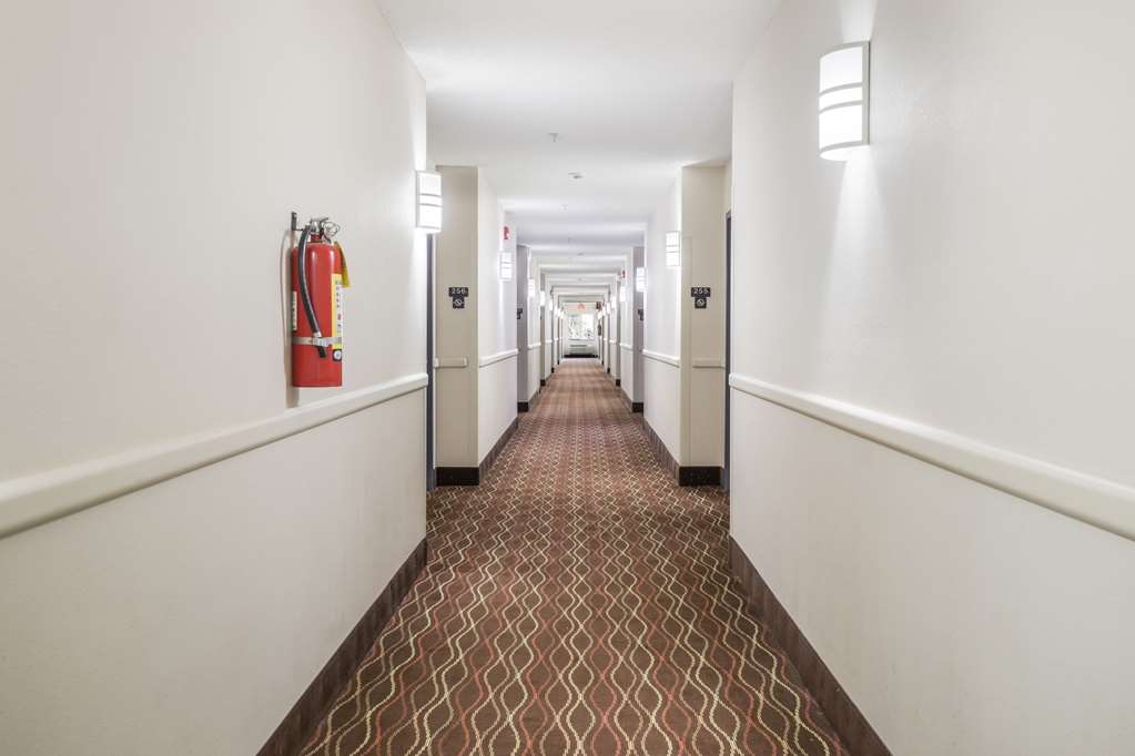 econo lodge morristown