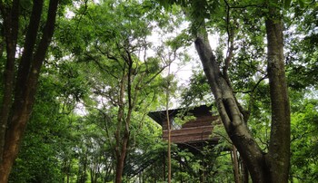 devigiri home stay and resort