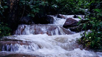 devigiri home stay and resort