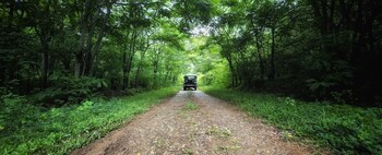 devigiri home stay and resort