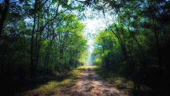 devigiri home stay and resort