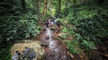 devigiri home stay and resort