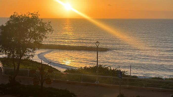 netanya