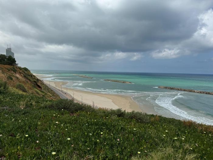netanya