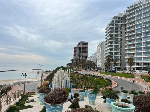 netanya