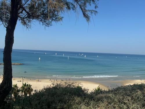 netanya