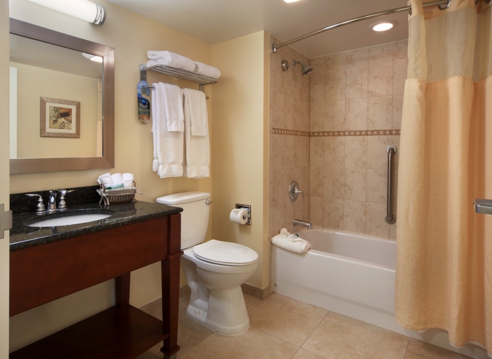 holiday inn resort orlando lake buena vista by ihg