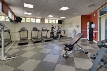 holiday inn resort orlando lake buena vista by ihg