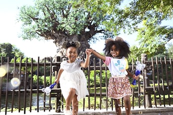 holiday inn resort orlando lake buena vista by ihg