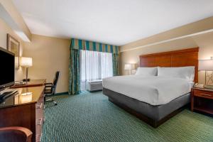 holiday inn resort orlando lake buena vista by ihg