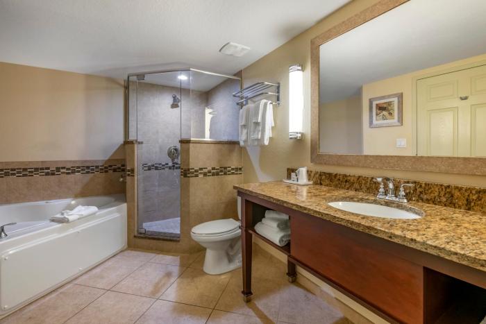 holiday inn resort orlando lake buena vista by ihg